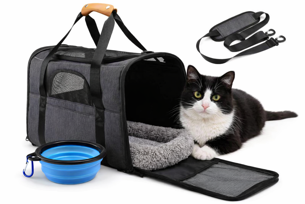 Beste katten reistas