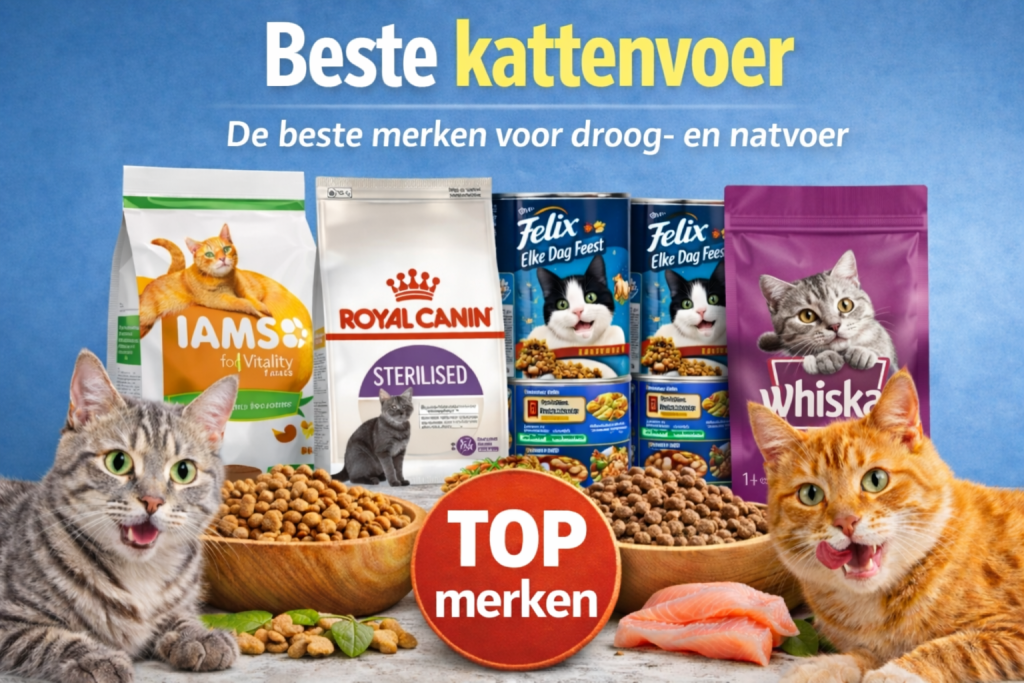 Beste kattenvoer droog en natvoer
