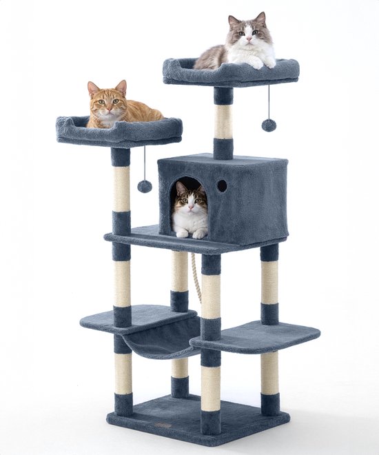 Jake and Jacky Krabpaal voor Katten