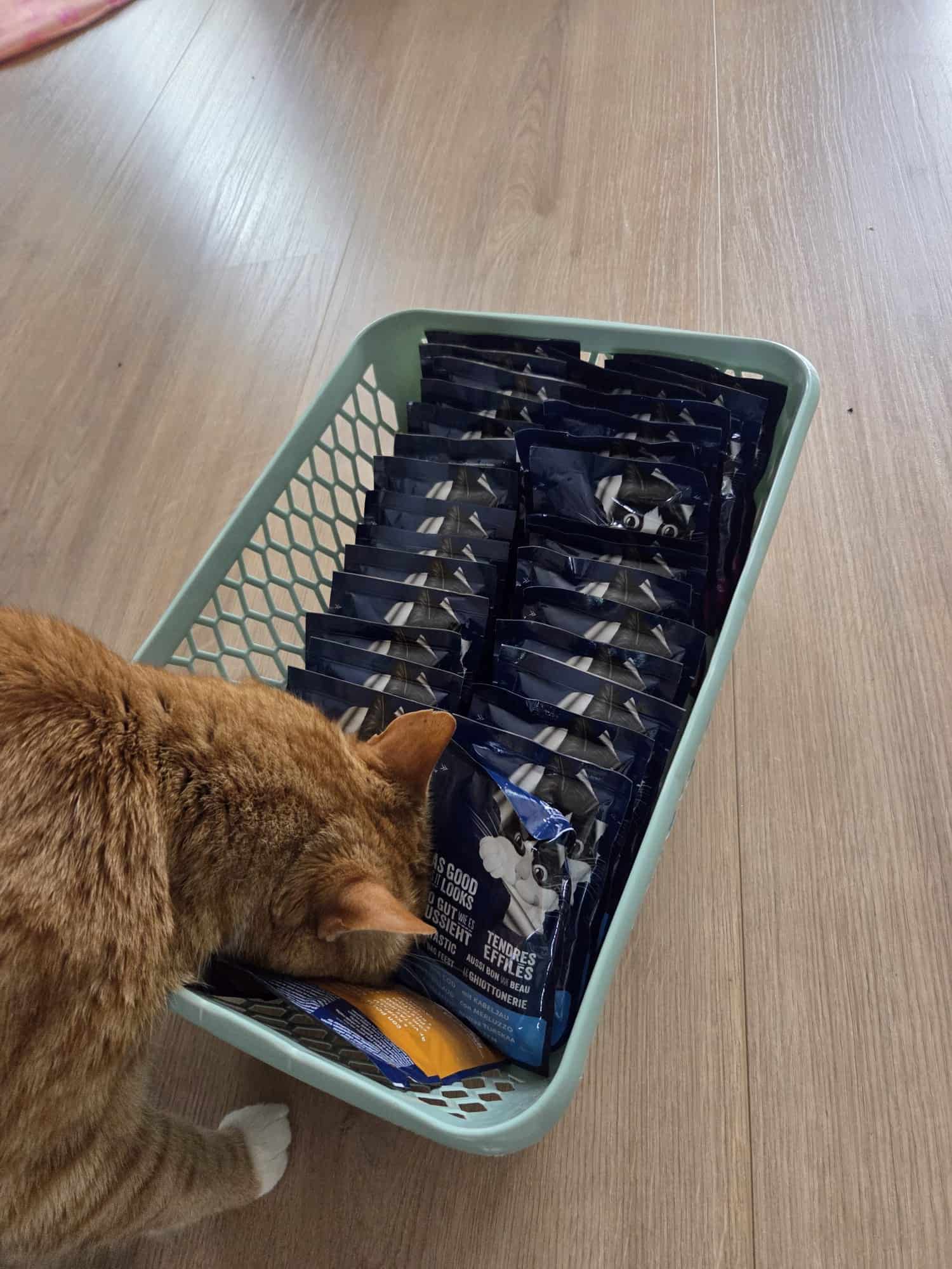 Levi en Simba kiezen natvoer